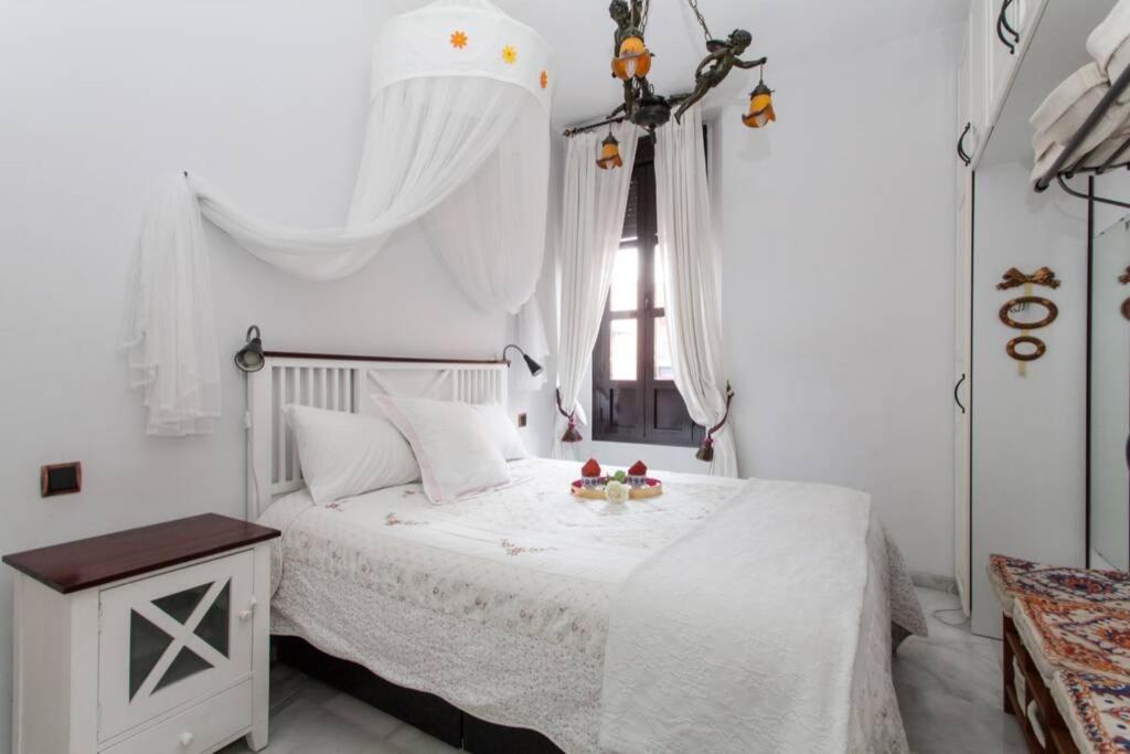 Apartamento Alfareria إشبيلية المظهر الخارجي الصورة